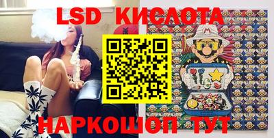 крисы Кулебаки