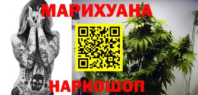крисы Кулебаки