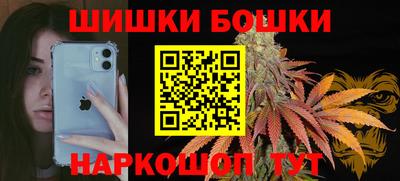 крисы Кулебаки