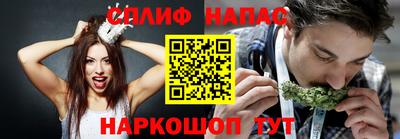 крисы Кулебаки