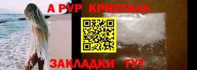 крисы Кулебаки