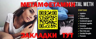 крисы Кулебаки
