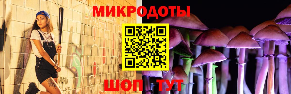 Чапаевск  Псилоцибиновые грибы прущие грибы  Вход с VPN 
